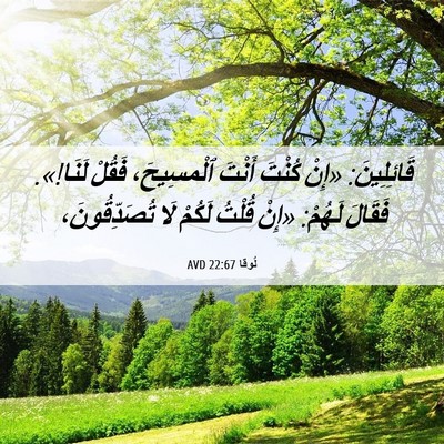 Picture 06 - لُوقا 22:67 AVD - قَائِلِينَ: «إِنْ كُنْتَ - Bible Verse Picture