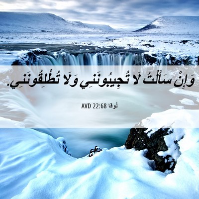 Picture 06 - لُوقا 22:68 AVD - وَإِنْ سَأَلْتُ لَا - Bible Verse Picture