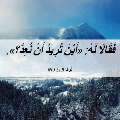 Picture 06 - لُوقا 22:9 AVD - فَقَالَا لَهُ: «أَيْنَ - Bible Verse Picture