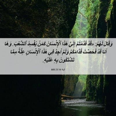 Picture 06 - لُوقا 23:14 AVD - وَقَالَ لَهُمْ: «قَدْ - Bible Verse Picture