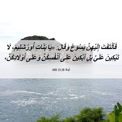 Picture 06 - لُوقا 23:28 AVD - فَٱلْتَفَتَ إِلَيْهِنَّ - Bible Verse Picture