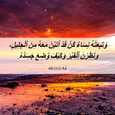 Picture 06 - لُوقا 23:55 AVD - وَتَبِعَتْهُ نِسَاءٌ - Bible Verse Picture