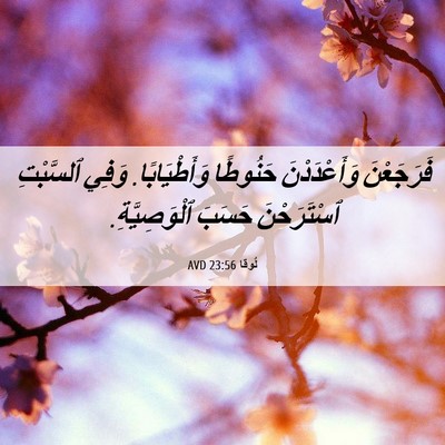 Picture 06 - لُوقا 23:56 AVD - فَرَجَعْنَ وَأَعْدَدْنَ - Bible Verse Picture