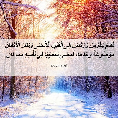 Picture 06 - لُوقا 24:12 AVD - فَقَامَ بُطْرُسُ وَرَكَضَ - Bible Verse Picture