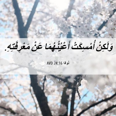 Picture 06 - لُوقا 24:16 AVD - وَلَكِنْ أُمْسِكَتْ - Bible Verse Picture