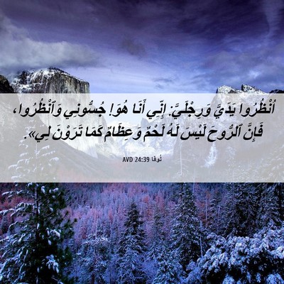 Picture 06 - لُوقا 24:39 AVD - اُنْظُرُوا يَدَيَّ - Bible Verse Picture