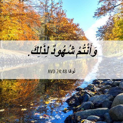 Picture 06 - لُوقا 24:48 AVD - وَأَنْتُمْ شُهُودٌ - Bible Verse Picture