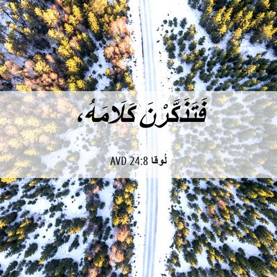 Picture 06 - لُوقا 24:8 AVD - فَتَذَكَّرْنَ - Bible Verse Picture
