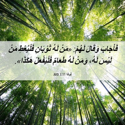 Picture 06 - لُوقا 3:11 AVD - فَأَجَابَ وَقَالَ لَهُمْ: - Bible Verse Picture