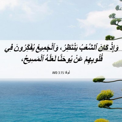 Picture 06 - لُوقا 3:15 AVD - وَإِذْ كَانَ ٱلشَّعْبُ - Bible Verse Picture