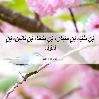 Picture 06 - لُوقا 3:31 AVD - بْنِ مَلَيَا، بْنِ - Bible Verse Picture