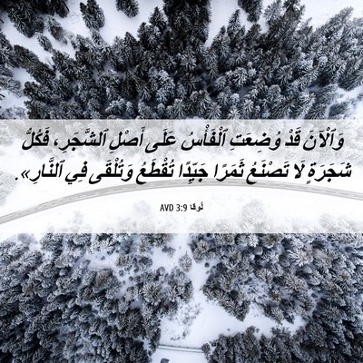 Picture 06 - لُوقا 3:9 AVD - وَٱلْآنَ قَدْ وُضِعَتِ - Bible Verse Picture