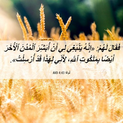 Picture 06 - لُوقا 4:43 AVD - فَقَالَ لَهُمْ: «إِنَّهُ - Bible Verse Picture