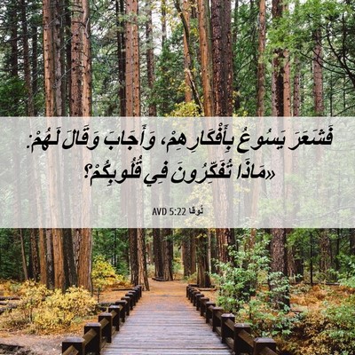 Picture 06 - لُوقا 5:22 AVD - فَشَعَرَ يَسُوعُ - Bible Verse Picture