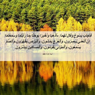 Picture 06 - لُوقا 7:22 AVD - فَأَجَابَ يَسُوعُ وَقَالَ - Bible Verse Picture
