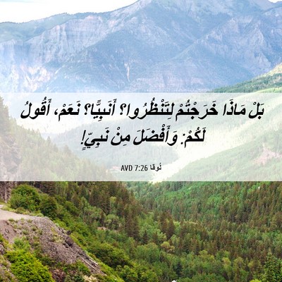 Picture 06 - لُوقا 7:26 AVD - بَلْ مَاذَا خَرَجْتُمْ - Bible Verse Picture