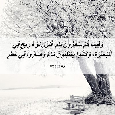Picture 06 - لُوقا 8:23 AVD - وَفِيمَا هُمْ سَائِرُونَ - Bible Verse Picture