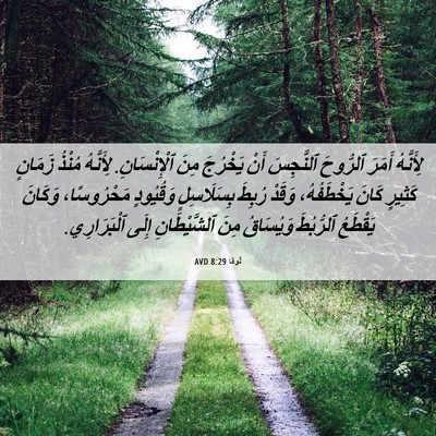 Picture 06 - لُوقا 8:29 AVD - لِأَنَّهُ أَمَرَ ٱلرُّوحَ - Bible Verse Picture