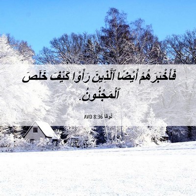 Picture 06 - لُوقا 8:36 AVD - فَأَخْبَرَهُمْ أَيْضًا - Bible Verse Picture