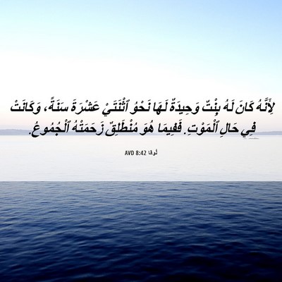 Picture 06 - لُوقا 8:42 AVD - لِأَنَّهُ كَانَ لَهُ - Bible Verse Picture