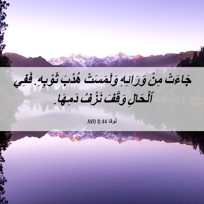 Picture 06 - لُوقا 8:44 AVD - جَاءَتْ مِنْ وَرَائِهِ - Bible Verse Picture