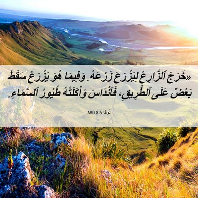 Picture 06 - لُوقا 8:5 AVD - «خَرَجَ ٱلزَّارِعُ - Bible Verse Picture