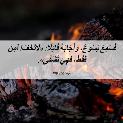 Picture 06 - لُوقا 8:50 AVD - فَسَمِعَ يَسُوعُ، - Bible Verse Picture