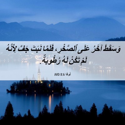 Picture 06 - لُوقا 8:6 AVD - وَسَقَطَ آخَرُ عَلَى - Bible Verse Picture