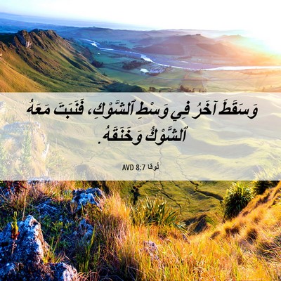 Picture 06 - لُوقا 8:7 AVD - وَسَقَطَ آخَرُ فِي وَسْطِ - Bible Verse Picture