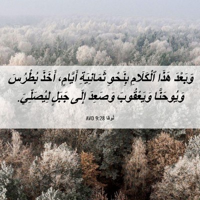 Picture 06 - لُوقا 9:28 AVD - وَبَعْدَ هَذَا ٱلْكَلَامِ - Bible Verse Picture