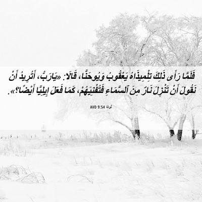 Picture 06 - لُوقا 9:54 AVD - فَلَمَّا رَأَى ذَلِكَ - Bible Verse Picture