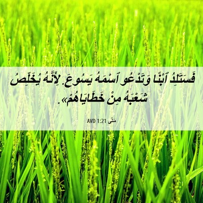 Picture 06 - مَتَّى 1:21 AVD - فَسَتَلِدُ ٱبْنًا - Bible Verse Picture
