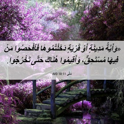 Picture 06 - مَتَّى 10:11 AVD - «وَأَيَّةُ مَدِينَةٍ أَوْ - Bible Verse Picture