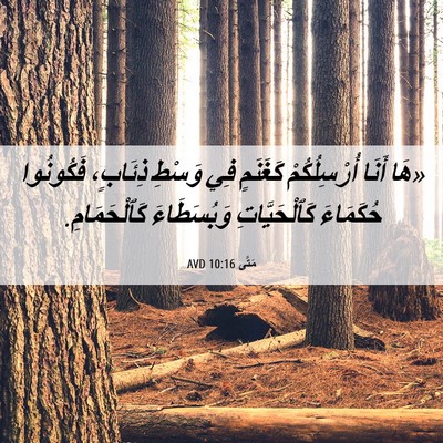 Picture 06 - مَتَّى 10:16 AVD - «هَا أَنَا أُرْسِلُكُمْ - Bible Verse Picture