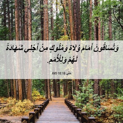 Picture 06 - مَتَّى 10:18 AVD - وَتُسَاقُونَ أَمَامَ - Bible Verse Picture
