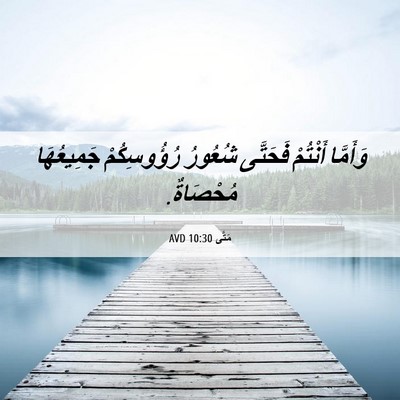 Picture 06 - مَتَّى 10:30 AVD - وَأَمَّا أَنْتُمْ - Bible Verse Picture