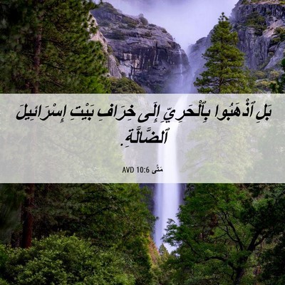 Picture 06 - مَتَّى 10:6 AVD - بَلِ ٱذْهَبُوا - Bible Verse Picture