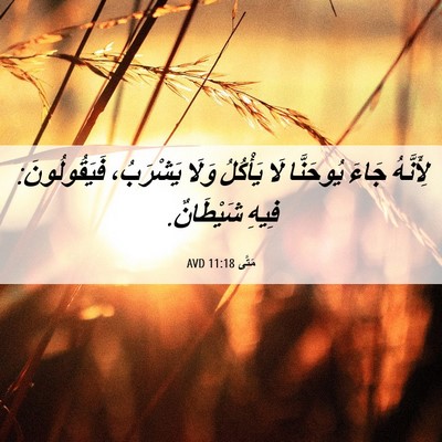Picture 06 - مَتَّى 11:18 AVD - لِأَنَّهُ جَاءَ يُوحَنَّا - Bible Verse Picture
