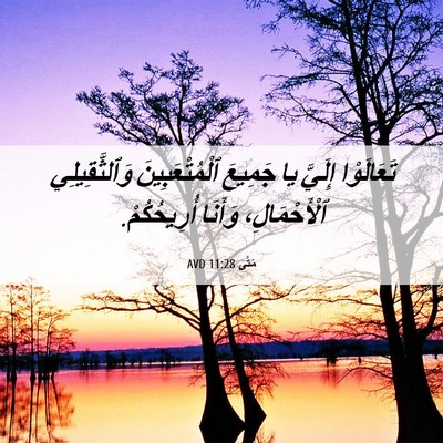 Picture 06 - مَتَّى 11:28 AVD - تَعَالَوْا إِلَيَّ يا - Bible Verse Picture