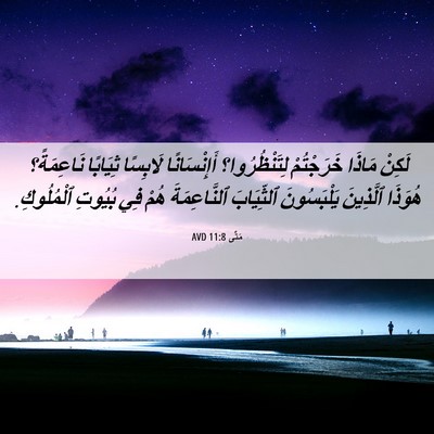 Picture 06 - مَتَّى 11:8 AVD - لَكِنْ مَاذَا خَرَجْتُمْ - Bible Verse Picture