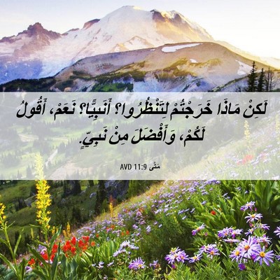 Picture 06 - مَتَّى 11:9 AVD - لَكِنْ مَاذَا خَرَجْتُمْ - Bible Verse Picture