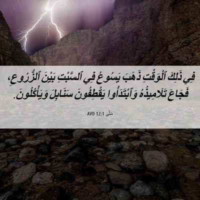 Picture 06 - مَتَّى 12:1 AVD - فِي ذَلِكَ ٱلْوَقْتِ - Bible Verse Picture