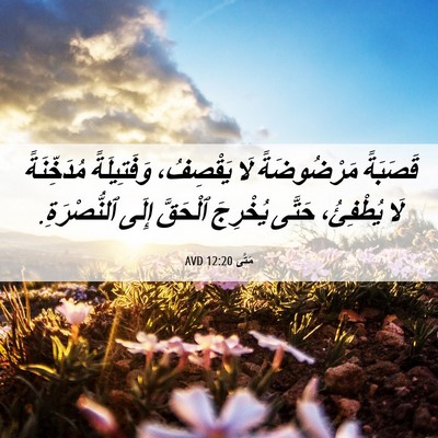Picture 06 - مَتَّى 12:20 AVD - قَصَبَةً مَرْضُوضَةً لَا - Bible Verse Picture
