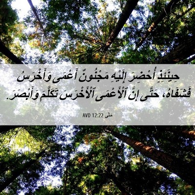 Picture 06 - مَتَّى 12:22 AVD - حِينَئِذٍ أُحْضِرَ - Bible Verse Picture