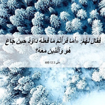 Picture 06 - مَتَّى 12:3 AVD - فَقَالَ لَهُمْ: «أَمَا - Bible Verse Picture