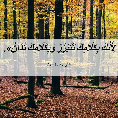 Picture 06 - مَتَّى 12:37 AVD - لِأَنَّكَ بِكَلَامِكَ - Bible Verse Picture