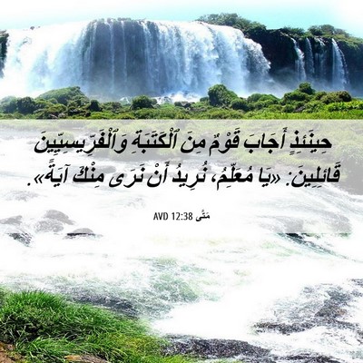 Picture 06 - مَتَّى 12:38 AVD - حِينَئِذٍ أَجَابَ قَوْمٌ - Bible Verse Picture