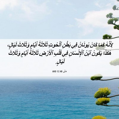 Picture 06 - مَتَّى 12:40 AVD - لِأَنَّهُ كَمَا كَانَ - Bible Verse Picture