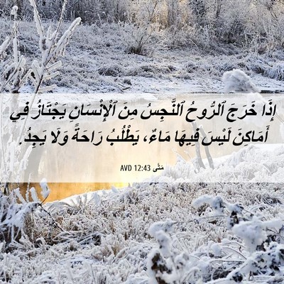 Picture 06 - مَتَّى 12:43 AVD - إِذَا خَرَجَ ٱلرُّوحُ - Bible Verse Picture