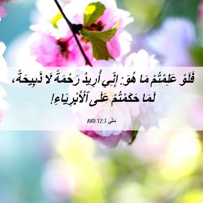 Picture 06 - مَتَّى 12:7 AVD - فَلَوْ عَلِمْتُمْ مَا - Bible Verse Picture